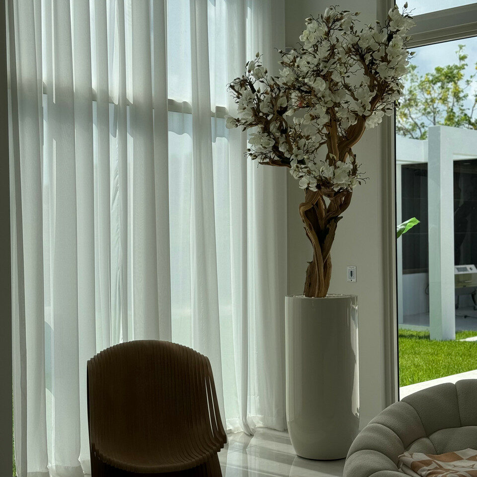 10ft White Magnolia Tree in Glossy Beige St. Tropez Planter