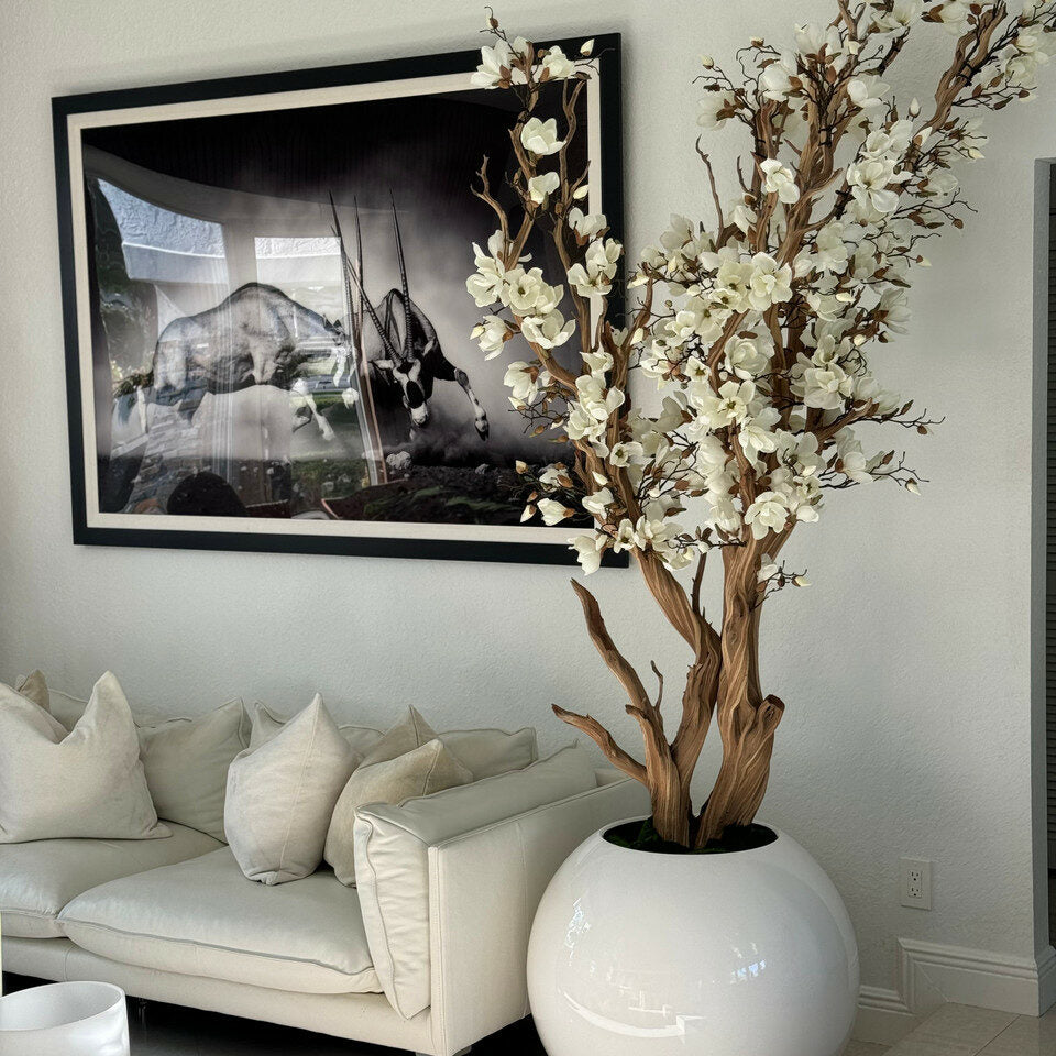 White Magnolia Tree in 30″ Glossy White Globe Planter