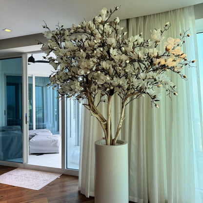 White Magnolia Tree in Matte Beige St. Tropez Planter