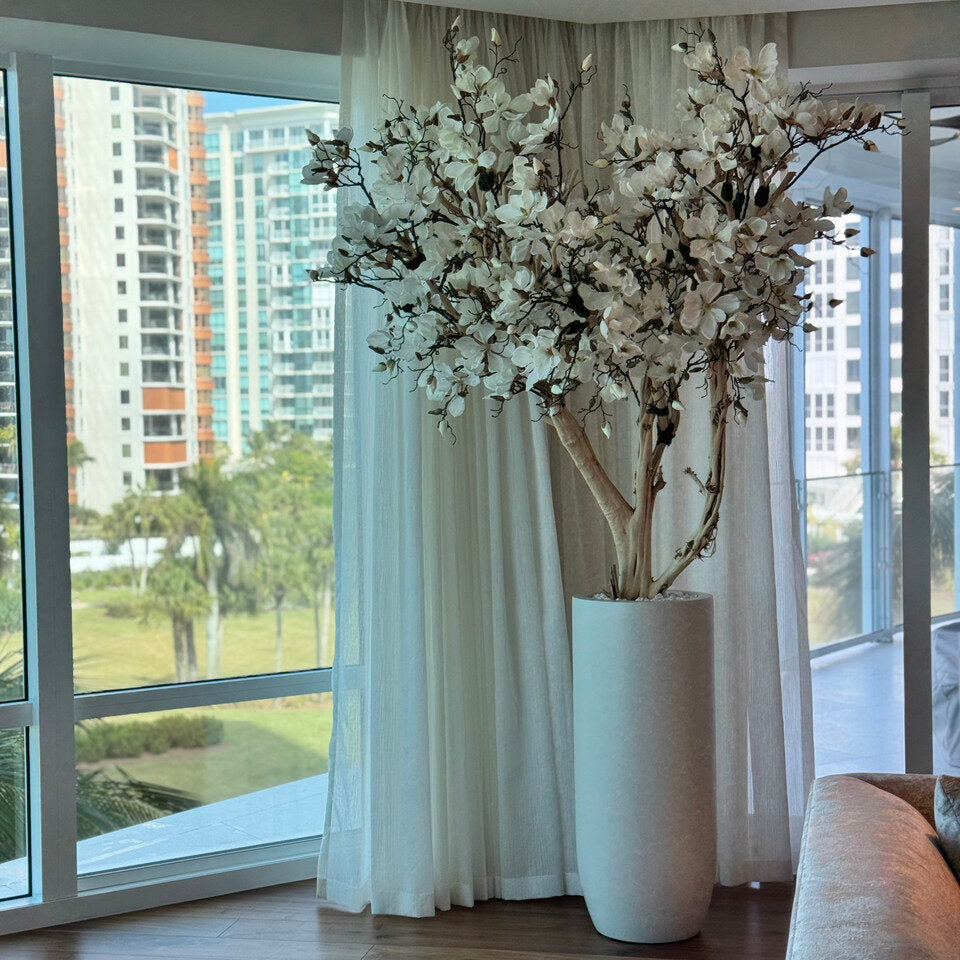White Magnolia Tree in Matte Beige St. Tropez Planter