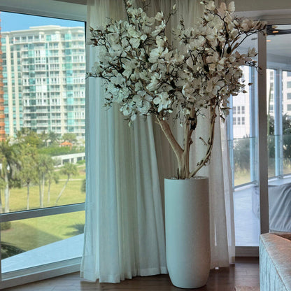 White Magnolia Tree in Matte Beige St. Tropez Planter