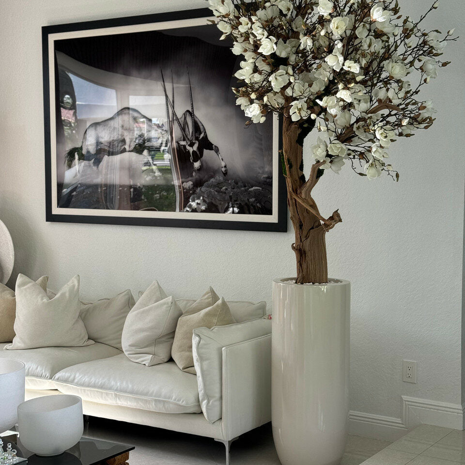 Glossy Beige St. Tropez Planter with Custom Made Magnolia Tree